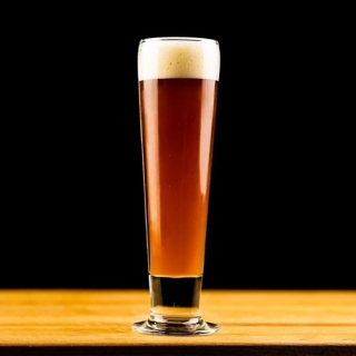 Vienna Lager 